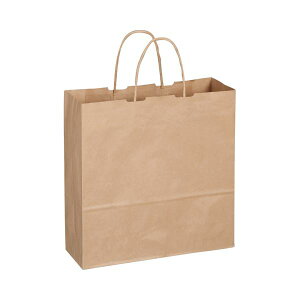 TANOSEE 【お徳用セット】 TANOSEE 紙手提袋 丸紐 中 ヨコ320×タテ320×マチ幅115mm 茶 1パック (50枚) 【×5セット】 【お徳用 まとめ買い お買い得 業務用 割引 セット販売】 文房具・事務用品 文