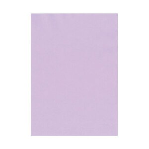 kzR[|[V IB̐F㎿ A4 Y  ǂ 1 i800F100×8j v^ PCTvCEՕi Rs[pEp Rs[p Rs[  v^p