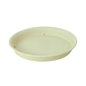 b`F mF v[g 25^N AC{[ 1 y×20Zbgz yp ܂Ƃߔ  Ɩp  Zbg̔z