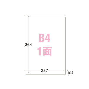 PPCx B4 m[Jbg 28208 v^ PCTvCEՕi Rs[pEp Rs[p hp x 