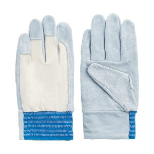 xmO[u Hp  O[u tWO[u Ɩp #12 L 1201 1o y×5Zbgz yp ܂Ƃߔ  Ɩp  Zbg̔z i |pi [Epi G I