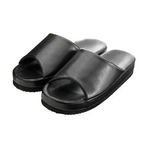 XMn 2WAYXbp wlp ubN 1 y×10Zbgz yp ܂Ƃߔ  Ɩp  Zbg̔z i |pi [Epi G ItBXpi piG p