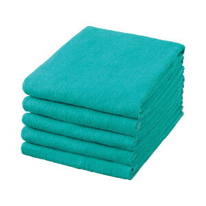 Oa ItBX Ɩp X߃tFCX^IO[ VN240GR-TN 1pbNi5jy×10Zbgz y Zbg̔ ܂Ƃߔ  z