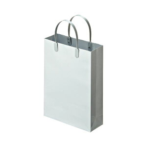 TANOSEE ^mV[iˏ) ~l[gobO  R225×^e310×}`80mm Vo[ 1pbNi10j y×10Zbgz y Zbg̔ ܂Ƃߔ  ItBX [  Ɩp ItBXp