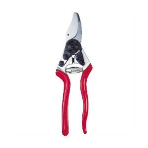 tFR  FELCO16 195m p FELCO16 1 Ȃ͂ŉs؂ꖡ𔭊鍂ișnT~łBpiECeAEG  K[fjO K[fjOpi