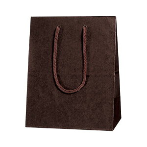 �V���W�} �J���[�`���[���o�b�O 20-12 �u���E�� 10���� �y×5�Z�b�g�z �y�����p �܂Ƃߔ��� �������� �Ɩ��p ���� �Z�b�g�̔��z ���p�i�G�݁E���[��E��| ���[��E�����p�i ���� �I�t�B�X�p�i