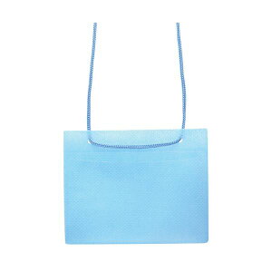 ソニック カラーイベント吊下げ名札名刺サイズ 青 VN-849-B 1パック (50個) 【×5セット】 【お徳用 まとめ買い お買い得 業務用 割引 セット販売】 日用品雑貨・文房具・手芸 文房具・事務用