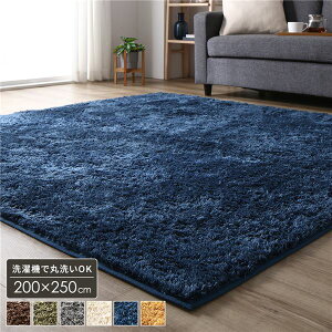 ���O �}�b�g ��3�� ��200×250cm �����` �l�C�r�[ ���g�[ �z�b�g�J�[�y�b�g�Ή� �􂦂� �V���M�[ ����ɂ������H ���ۉ��H �p���`�J�[�y�b�g ���O�}�b�g �O�~ �t���A ���O �J�[�y�b�g �J�[�y�b