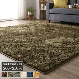 ラグ マット 約3畳 約200×250cm 長方形 グリーン 床暖房 ホットカーペット対応 洗える シャギー 滑りにくい加工 制菌加工