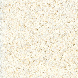 ラグマット / 絨毯 ラグ カーペット 【約140×200cm エクリュ】 ホットカーペット対応 手洗い可 日本製 『ジャスパーPlus』 プレーベル