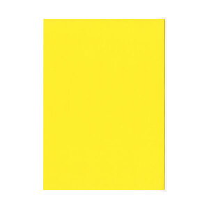 kzR[|[V IB̐F㎿A4T   1 i4000:500×8j v^ PCTvCEՕi Rs[pEp Rs[p Rs[  v^p