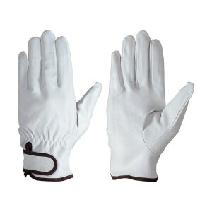 V ؖ{v }WbN PL717L 1o y×5Zbgz yp ܂Ƃߔ  Ɩp  Zbg̔z i |pi [Epi G ItBXpi piG pՕi