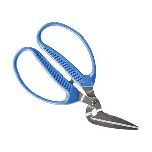 NMI _{[͂ NMI-51 1{ y×3Zbgz yp ܂Ƃߔ  Ɩp  Zbg̔z piG݁E[E| [Epi  ItBXpi [ pi ͂