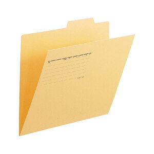 yvX pi PLUS  ItBXpi z ʃtH_[ FL-061IF A4E  10 y×10Zbgz yp ܂Ƃߔ  Ɩp  Zbg̔z piG݁E[E| [