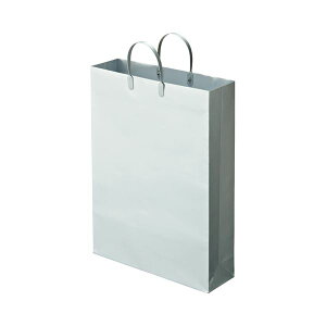 TANOSEE ^mV[iˏ) ~l[gobO  R380×^e510×}`110mm Vo[ 1pbNi10j y×5Zbgz y Zbg̔ ܂Ƃߔ  ItBX [  Ɩp ItBX