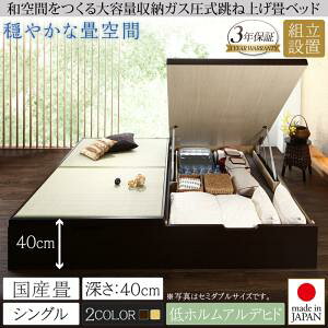 ygݒuT[rXtz xbh xbh axbh zc~ ~zc R   Y VO VOxbh y[:[Wz VOxbh VO ؐ xbh  a