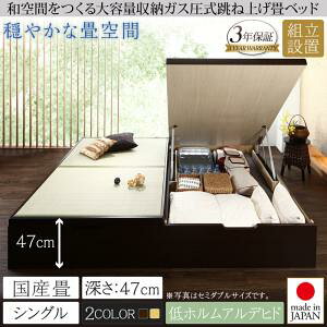 ygݒuT[rXtz xbh xbh axbh zc~ ~zc R   Y VO VOxbh y[: Ohz VO [Og VOxbh VO