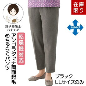 【50%OFF】【在庫処分セール】【楽天1位】乾燥機対応 めちゃらくパンツ シニア レディース 両面起毛 秋冬 シニアファッション シニアズボン 大きいサイズ 婦人ズボン 高齢者 パンツ レディース 大きいサイズ 秋冬 乾燥機OK ズボン M L LL 3Lサイズ アンゴラタッチ