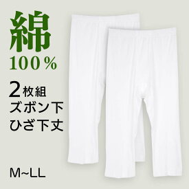 [綿100%] シニア メンズ 2枚組ズボン下 ひざ下丈 紳士用 M-LLサイズ ロンパン 半ズボン下 メンズ 綿100%下着 男性用 無地 前開き ももひき パッチ 綿 60代 70代 80代 ギフト 贈り物 ロングセラー 下着 肌着 インナー 半下 定番 プレゼント 入院 入所 介護