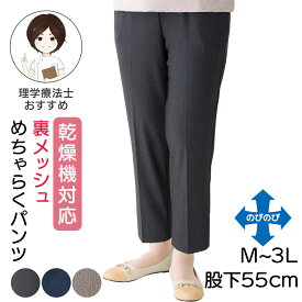 乾燥機対応 裏メッシュめちゃらくパンツ [M L LL 3L] シニア レディース 婦人服 春夏ズボン シニアファッション 接触冷感 熱中症対策 股下55cm 春物 夏物 涼しい 大きいサイズ 乾燥機OK ズボン 高齢者 服 高齢者 ズボン 婦人 シニア ズボン レディース 婦人ズボン