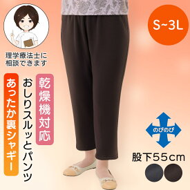 裏シャギーおしりスルッとパンツ(婦人) [S M L LL 3L] 婦人用ズボン シニアレディース 介護ズボン 秋冬 秋物 冬物 あったか のびのび ストレッチ 股下55cm 抗菌防臭 小さいサイズ 大きいサイズ ウエストゴム 乾燥機対応 乾燥機OK 裏起毛 プレゼント 入院 入所
