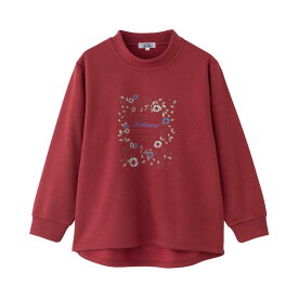 乾燥機対応 裏起毛トレーナー（婦人) [S M-L LL 3L] 乾燥機対応OK シニア レディース ファッション 高齢者 婦人服 長袖 トップス シニアファッション 秋物 冬物 秋冬 後ろ長め のびのび プレゼント 入院 入所 介護