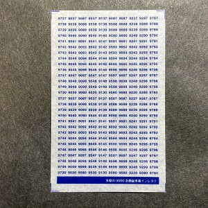 9000nʎԔԃC^(2)(NQ[W)