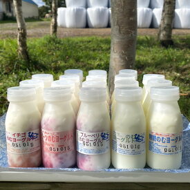 自分の好みを探せるのむヨーグルト18本セット　北海道大津牧場のしぼりたてミルクで作ったヨーグルト 北海道 乳製品 セット 自家製 生乳 国産 フレッシュチーズ 冷蔵 詰め合わせ 美味しい おいしい お取り寄せ 贈り物 送料無料