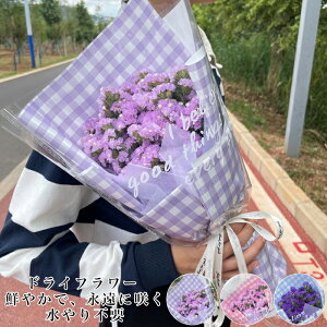 スターチス 花 プリザーブドフラワーの人気商品 通販 価格比較 価格 Com