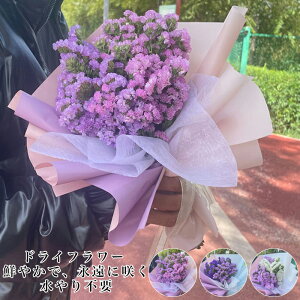 スターチス 花 プリザーブドフラワーの人気商品 通販 価格比較 価格 Com