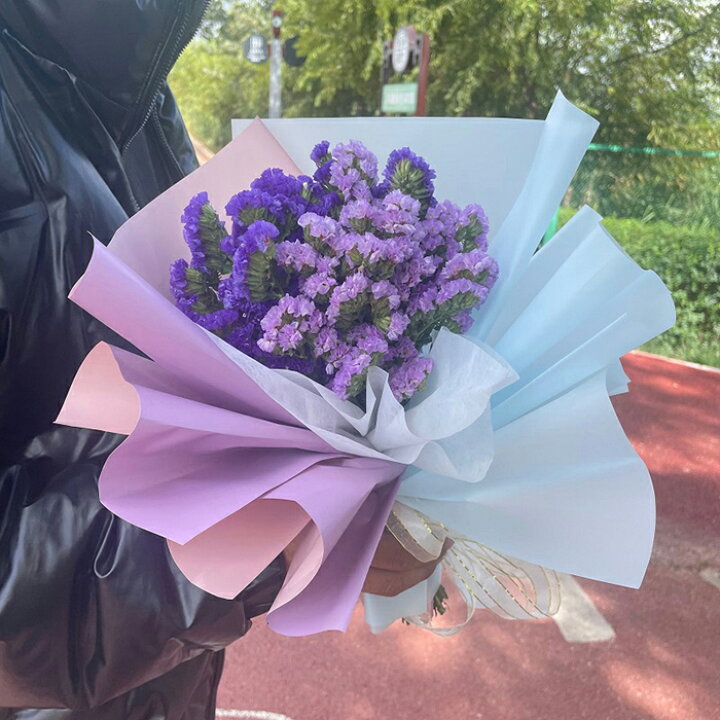 ドライフラワー 花束 ミニバラ 母の日 プレゼント 早割 花 スターチス 紫色 花瓶スイーツ チョコ以外 プリザーブドフラワー 誕生日プレゼント 送料無料 花材 ユーカリ バラ 飾り 送別 定年 退職 結婚祝い ハーバリウム 結婚 父の日 卒業祝い 日本正規代理店品