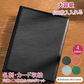 送料無料 600枚収納 大容量 名刺入れ 通帳ケース レザー PU A4 名刺ホルダー 通帳入れ メンズ カードファイル ポイントカードケース カード入れ マルチケース 2列5段 20ポケット インテリア・雑貨 文具・オフィス用品 名刺収納・カードファイル おしゃれ かわいい