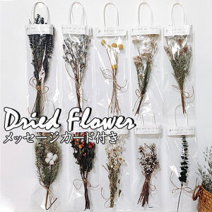 ̓ hCt[ bZ[WJ[ht  hV̓ ԑ  ԍ sv i` vU[uht[ a ͂Ȃ t[  CeA    Mt