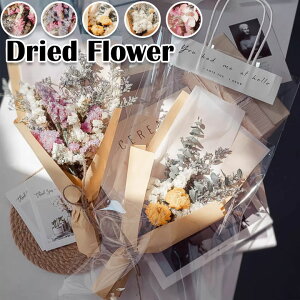 ̓ hCt[ ܕt  Iׂ15F  j hV̓ ԑ  ԍ sv i` vU[uht[ a ͂Ȃ t[  CeA   