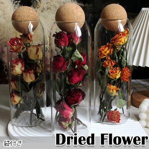 hCt[ KX{g ꂢ Iׂ6F ̓    vU[uht[ hV̓  ԍ sv i`  a ͂Ȃ t[ 