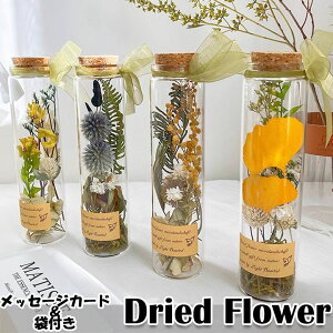 ̓ hCt[ ꂢ Iׂ12F  KX{g bZ[WJ[ht   vU[uht[ hV̓  ԍ sv i`  a 