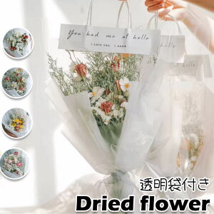 ̓ hCt[ ԑ ꂢ ܕt Iׂ4F   vU[uht[ hV̓  ԍ sv i`  a ͂Ȃ t[  CeA 