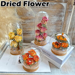 ̓ hCt[  CeA KXr Iׂ15F   j {g t[ a o[Xf[  k hC ԑ  w V  ސE v[g Mtg 