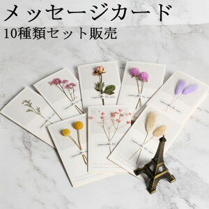  bZ[W J[h hCt[  10Zbg t[ Mtg Jt j J[h VbN  LL S[WX a hCt[t MtgJ[h j