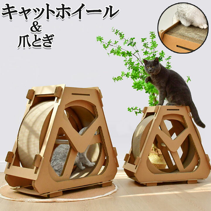 楽天市場】チャットホイール 猫用 爪とぎ キャット ホイール ルーム  