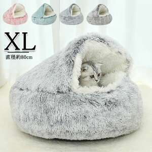 xbh  L ˂ NbV XLTCY 傫 Hp ~p ybgxbh tt g Lxbh 􂦂 lRxbh ̃xbh ~ pxbh L̃xbh Lpxbh ybgpxbh