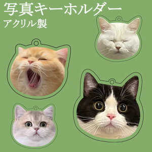 L[z_[  AN ʐ^ ANL[z_[ LOi L  nX^[  AObY ybgEybgObY pi I[i[YObY I[_[Ch IWiL[z