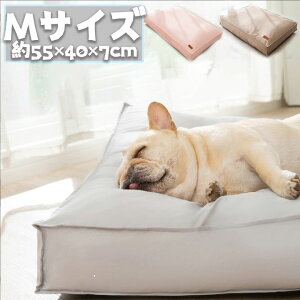 ^ ybgxbh Jo[O\ Lp MTCY 55*40  ӂӂ ^ Lxbh xbh ybg\t@[ }bg H ~  zc ʔN Lpi  Q 킢 