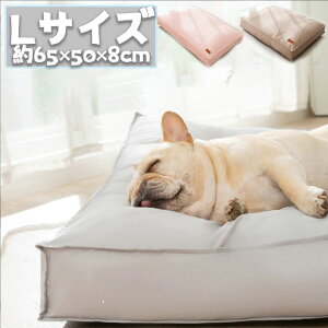 ^ ybgxbh LTCY 65*50 Lp ӂӂ ^ O[ uE sN Vv Jo[O\ Lxbh xbh ybg\t@[ }bg H ~  zc ʔN Lpi 