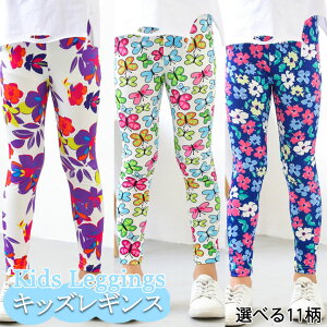  MX Xpbc ̎q {gX ԕ  WjA LbY ₷  q  qǂ ǂ ̎q  JWA t[ Jt 킢   fU