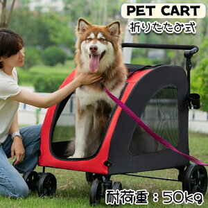 ybgJ[g ^ ܂肽ݎ[ ^ ^ ybgoM[ ƒ Lp o J[g U PET CART [ ybg ybgpJ[g  J[g Lbg pJ[g gȒP