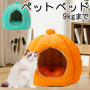 ybgxbh h[^ Hp ~p nEX p Lp ybg  g ^ ^ ybgpi ӂӂ  L ~  ybgnEX  ^ 킢 Lpxbh 