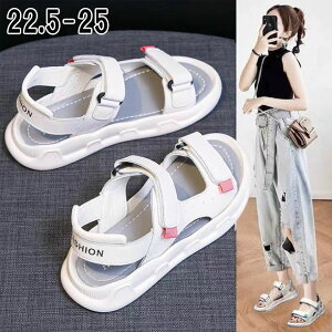  T_ fB[X y Vv X|[cT_  V[Y ؂ C ₷ ɂ zCg V[Y C