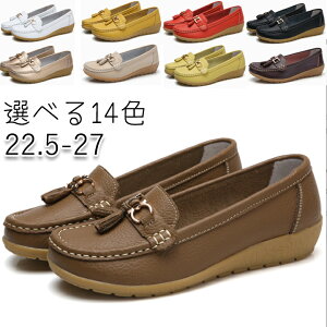 [t@[ fB[X [q[ pvX Xb| Iׂ14F 傫TCY  Sn 3cm V[Y p JWA ₷ ʋ ʊw d  EȂ A