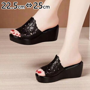 T_ fB[X  JWA ₷ 傫TCY  ꂢ ItBX TCY ubN zCg  t 